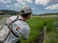 A fisherman holds a flyfishing rod over a very narrow, overgrown creek in a grassland.