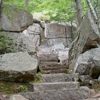 Steps and a passage cut through granite in a forest