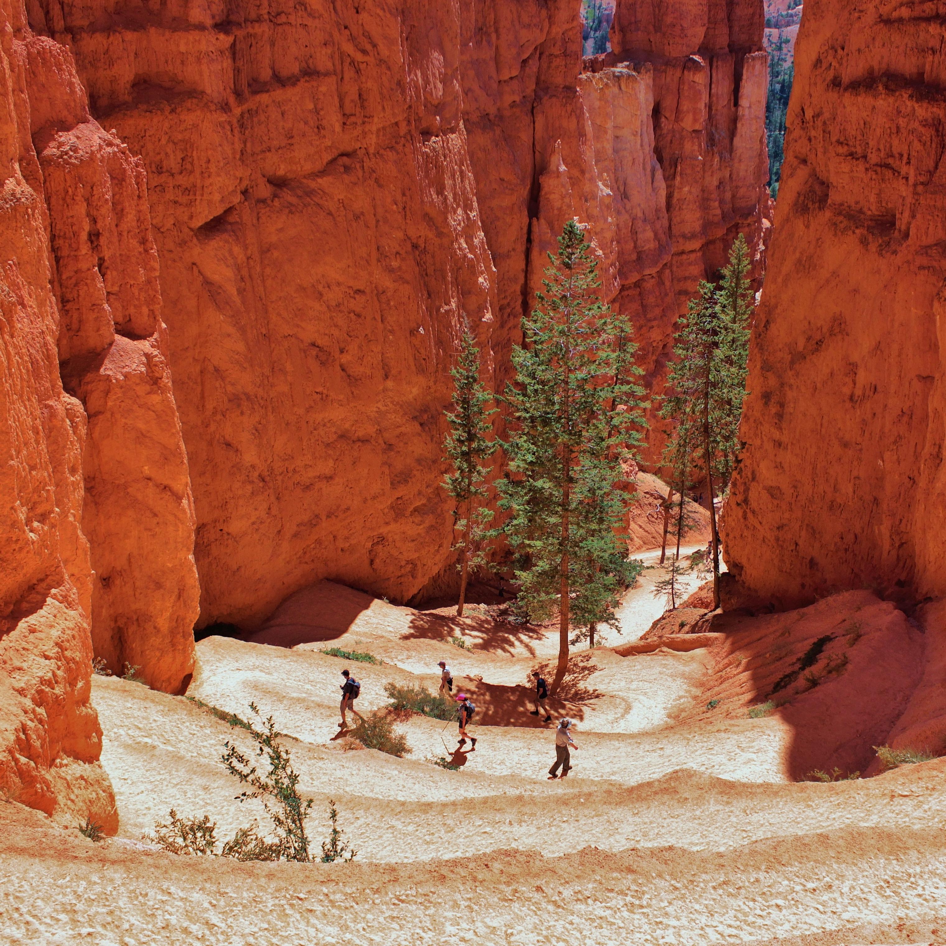 Bryce canyon backpacking trips sale