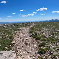 Near the summit of Flattop Mountain. The trail is free of snow and yellow wildflowers are growing