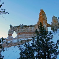 A pale red rock formation covered in snow surrounded by green trees