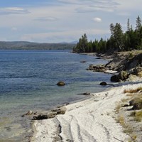 Rocky shoreline of Yellowstone Lake with conifer trees dotting the shoreline.