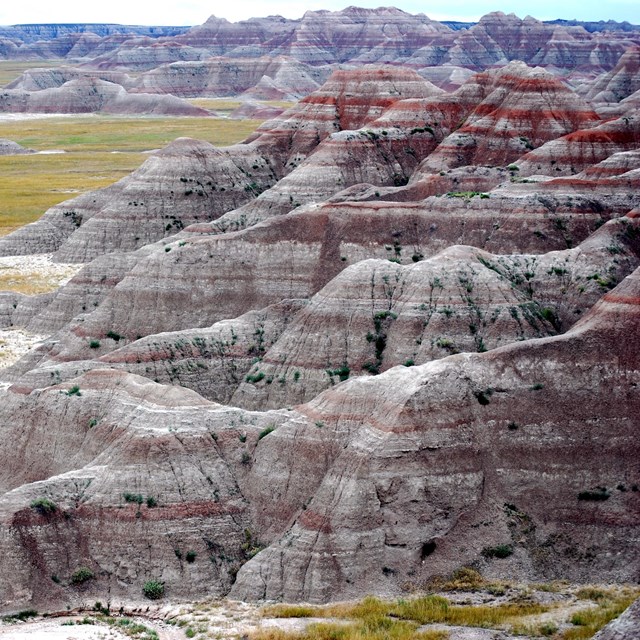 Multi-colored hills on right descending to a grassy prairie on left