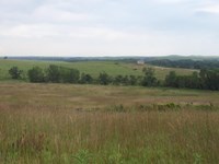 Tall prairie grasses waiving in the breeze with the schoolhouse in the distance.