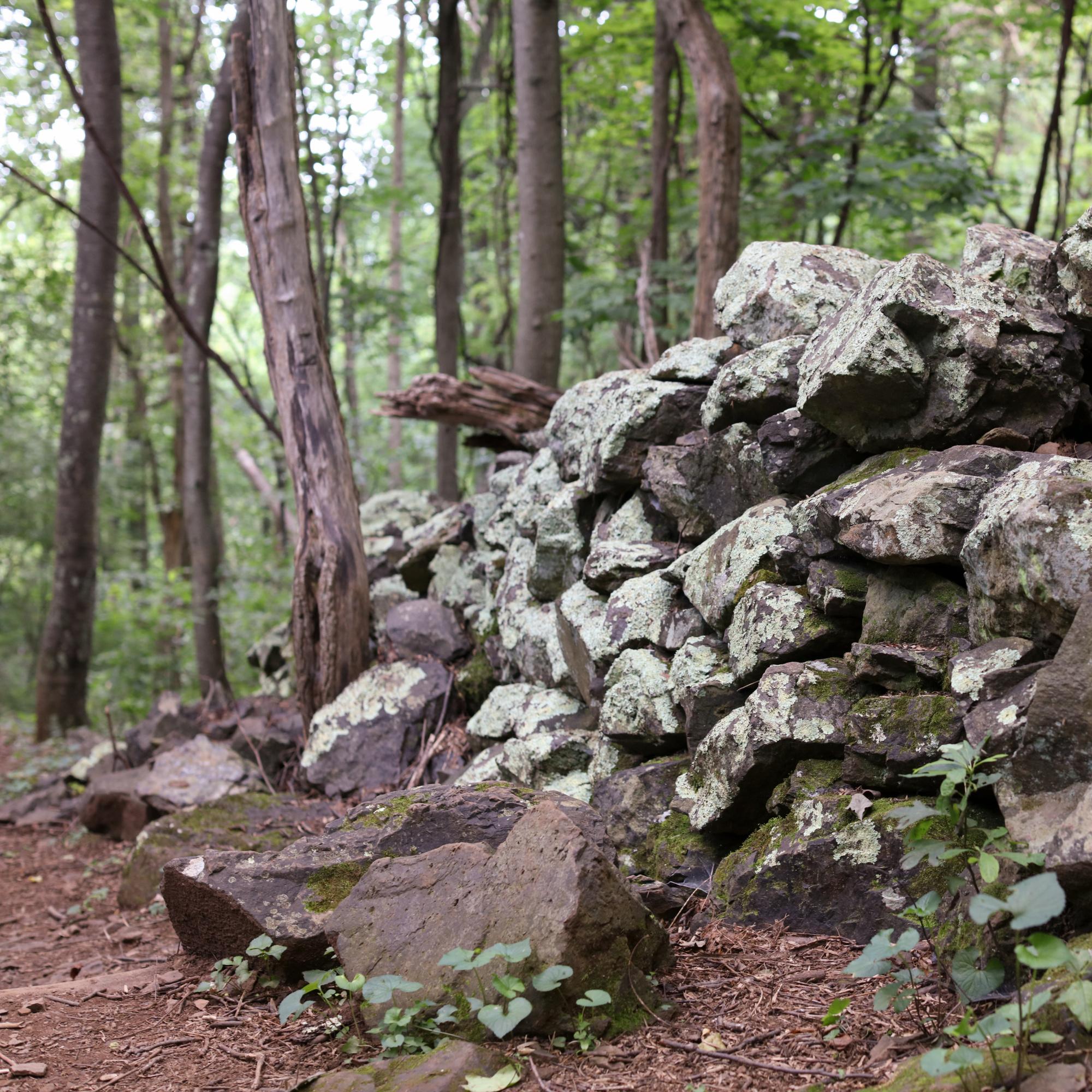 Discovering the Past on the Fox Hollow Trail - MustDoThings.com