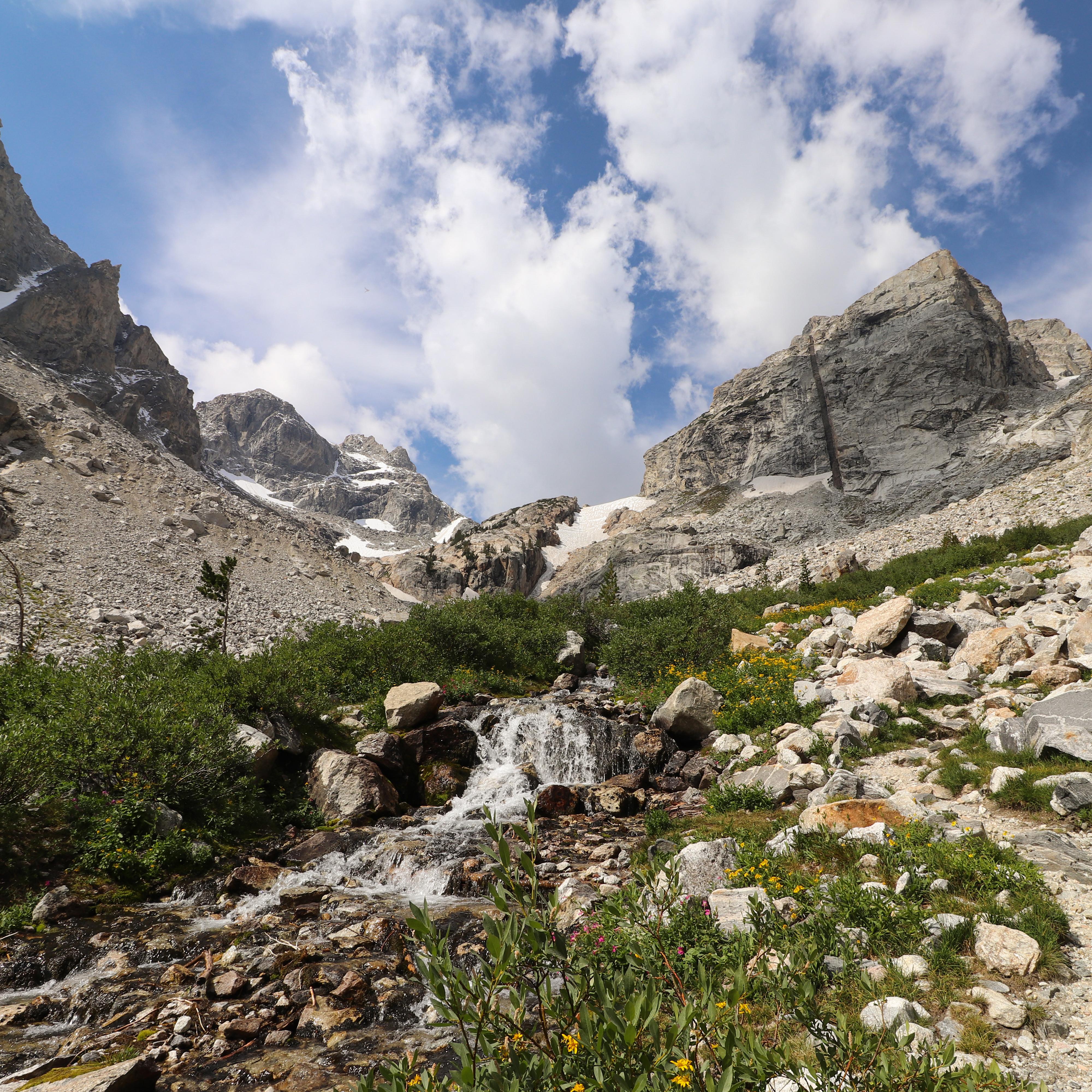 A creek runs through an alpine meadow blooming with wildflowers in front of two mountain peaks.