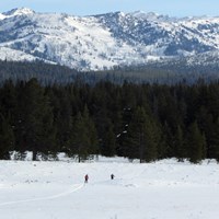 Two skiers skiing toward a forested section of Fawn Pass Ski Trail.