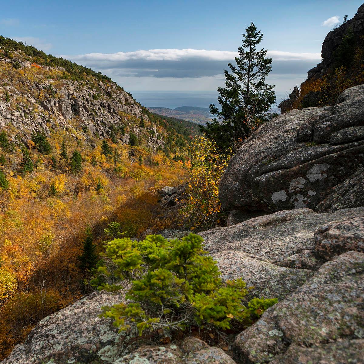 Steep granite mountain face is partially covered with deciduous and evergreen trees in fall color.