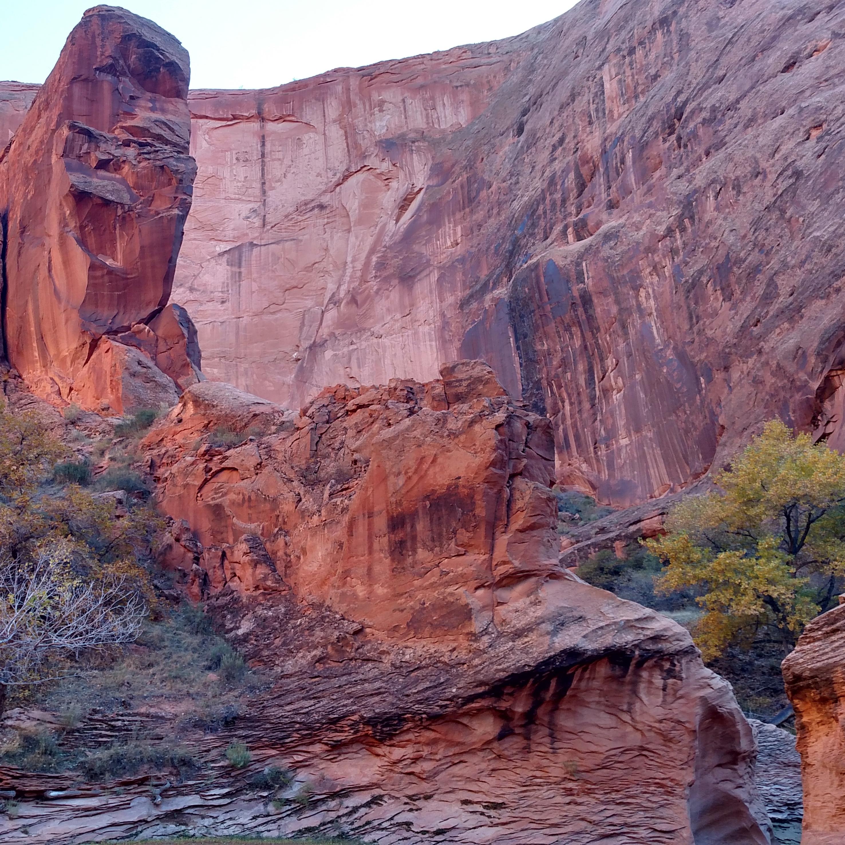 Sandstone canyon and butte with autumn trees.
