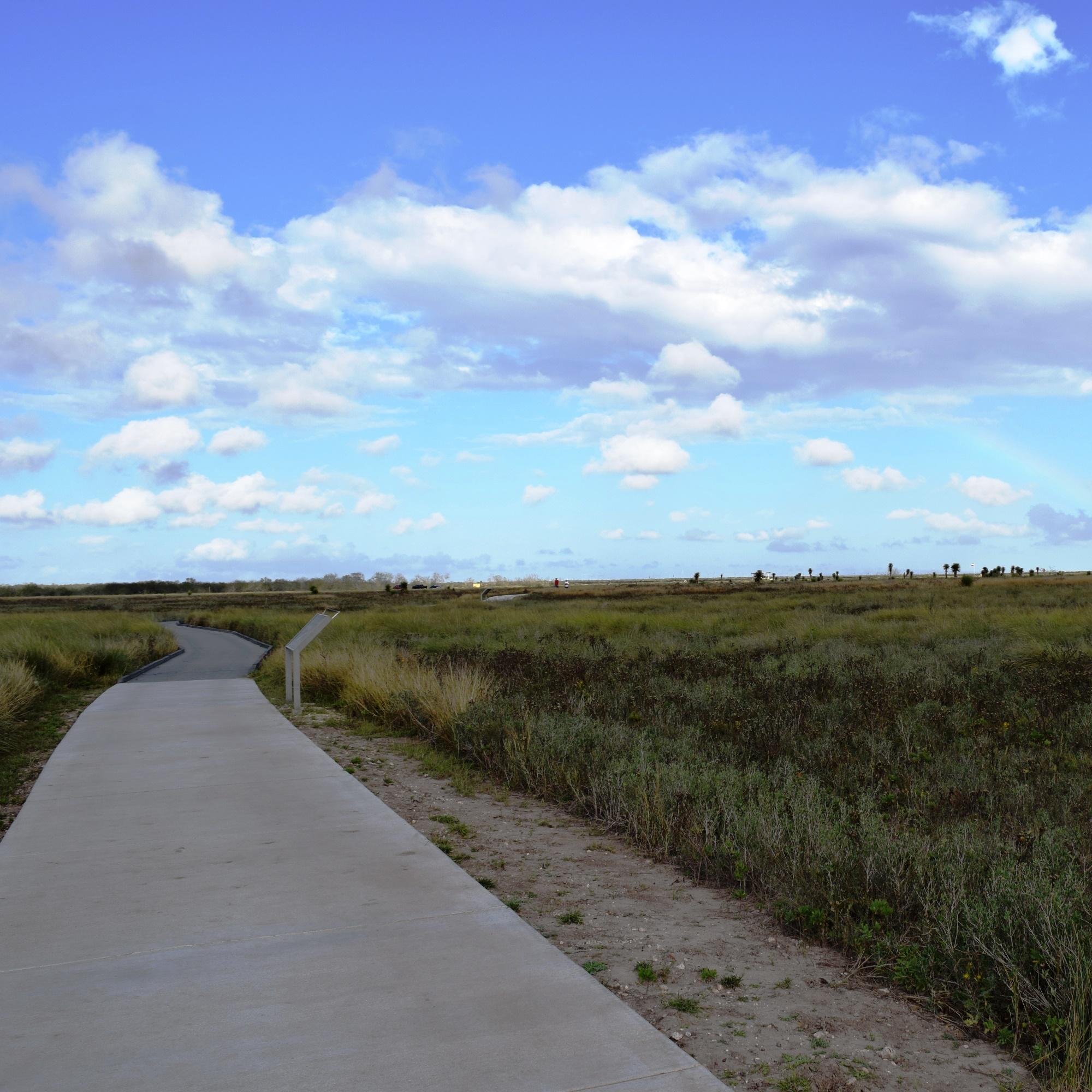 Paved trail leading into the green coastal prairie