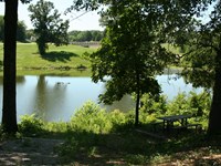 A picnic table at a pond surrounded by trees.