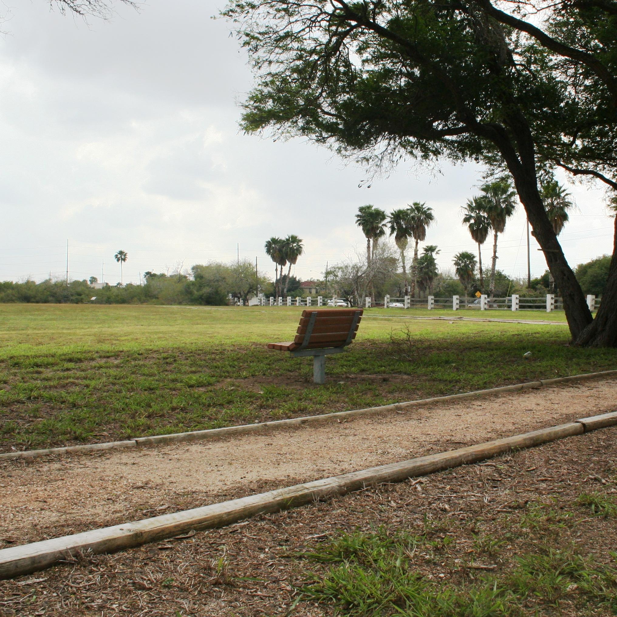 Bench sits besides a gravel trail under ebony trees.