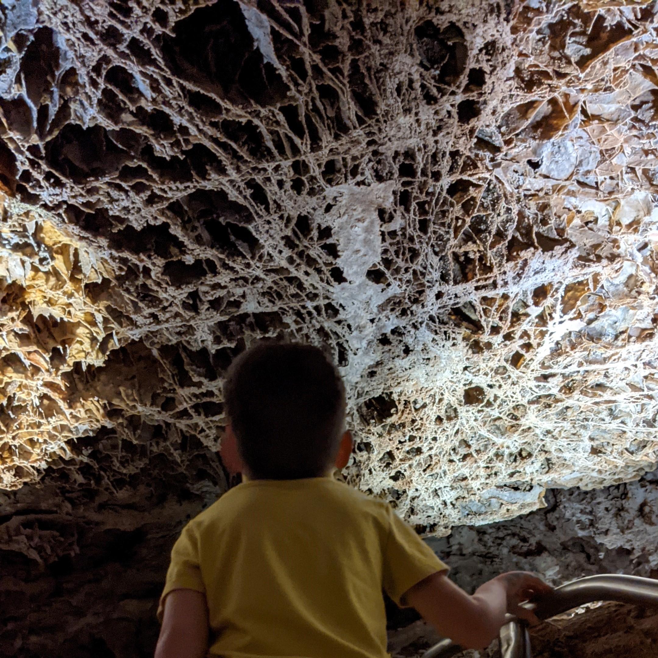 Boxwork Explore the Hidden Depths of Wind Cave National Park: Embark on a ...