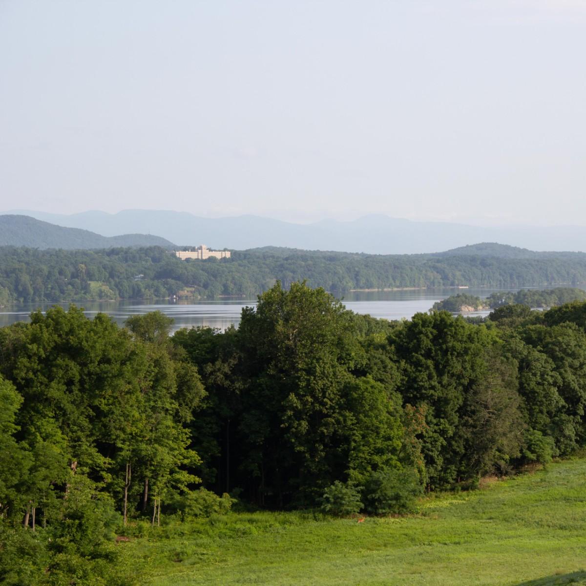 A lush green field with trees and river and mountains in the distance.