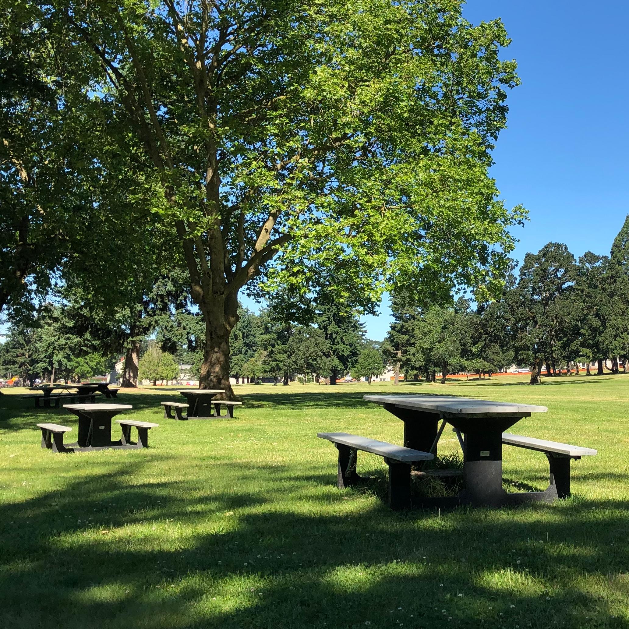 A picnic bench in an open grassy field on a sunny day.