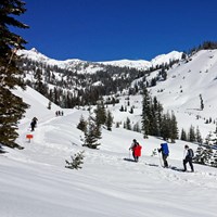 three people snowshoeing on a wide snow-covered route in a wooded mountain area