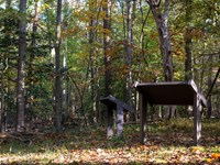 Two low-profile waysides in the woods during fall.