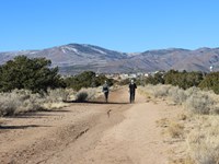 Two people walk along a dirt trail surrounded by shrubbery.