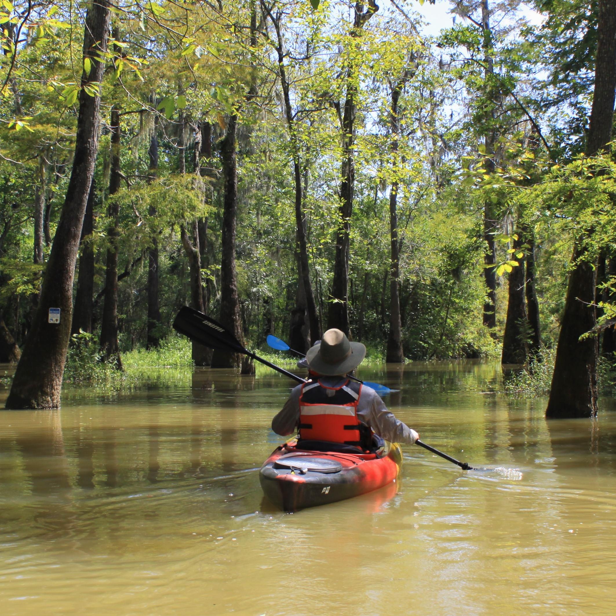 a person kayaking on a creek in the woods