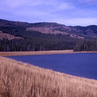 Yellow grass, green trees, and forested mountains surround a blue lake.