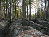 Limestone outcroppings in the midst of trees