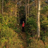 A hiker wearing a blaze orange vest stands on a trail in the middle of a dense forest.