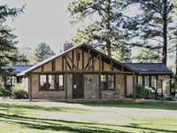 A stucco and timber house sits on a grassy lawn with trees around it.