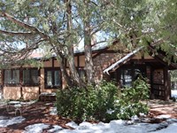 A timber and stucco house sits under large coniferous trees.