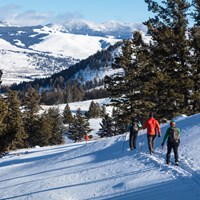 Three skiers travel downhill towards mountains in the distance.