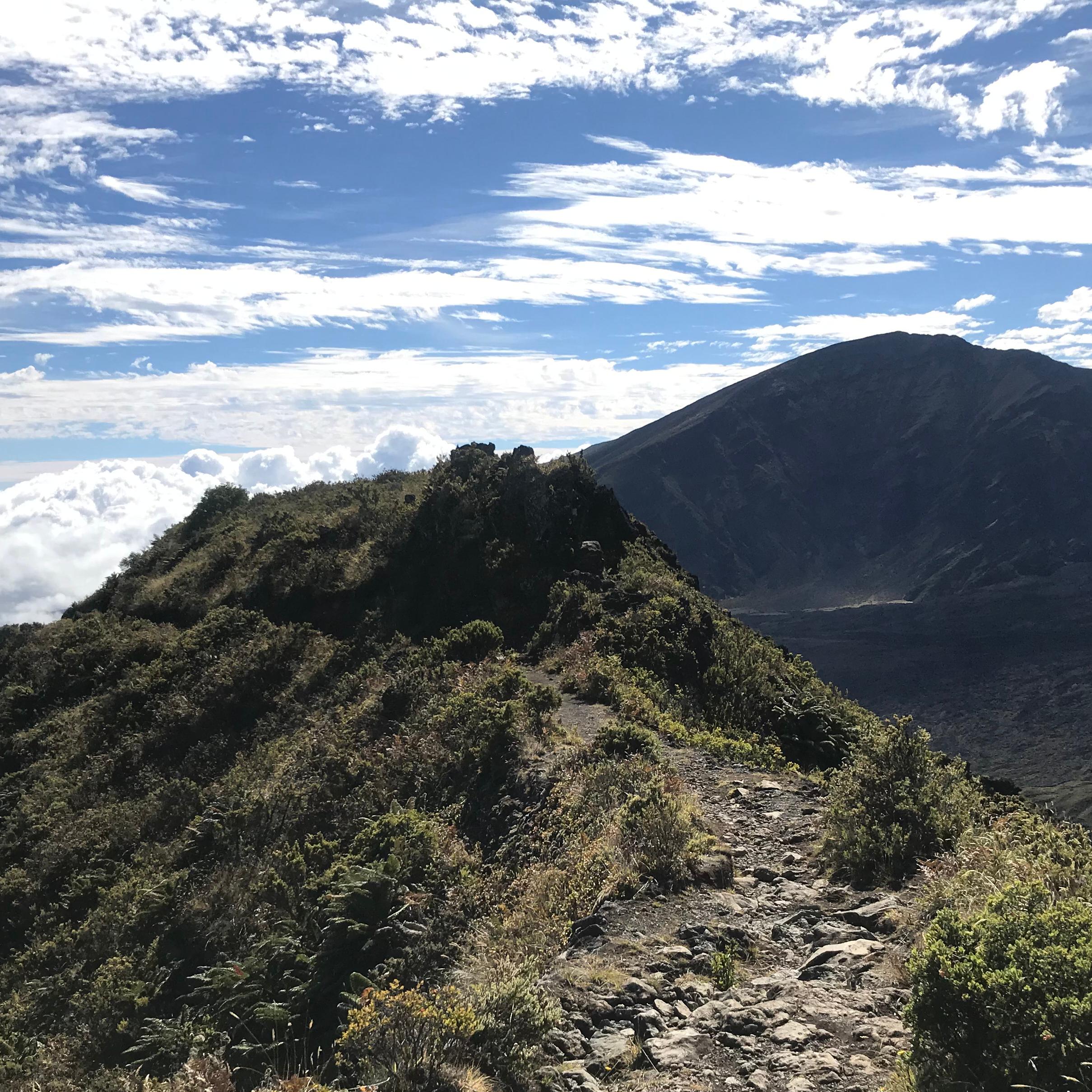 a rocky trail follows a ridgeline surrounded by shrubs.
