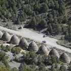 Beehive-shaped stone structures, in a row, set in a scrubby pine forest. 