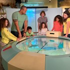 5 adults and 4 kids standing around a round exhibit with a glass top