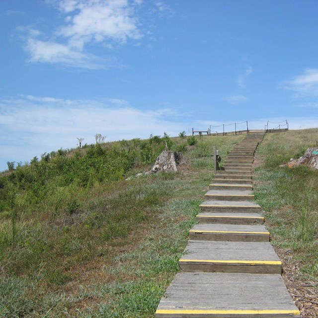 Worn wooden stair walkway nestled in a upward sloping grass hill.
