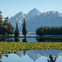 A mountain range viewed across a lily pad-covered pond.