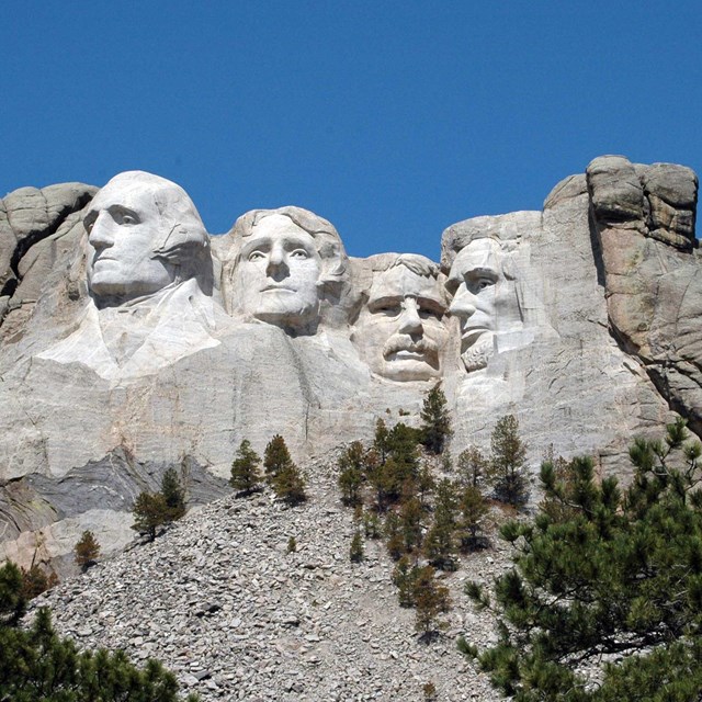 Four giant faces carved into a mountain among ponderosa pines under a bright blue sky.