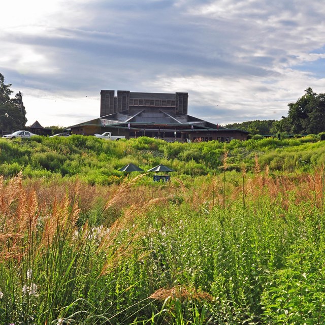 Filene Center viewed from native meadow.