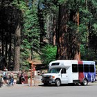 A short white shuttle bus waits in a parking lot in front of sequoia trees. Three people walk to it.