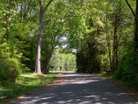 A road lines with trees leading to a highway.