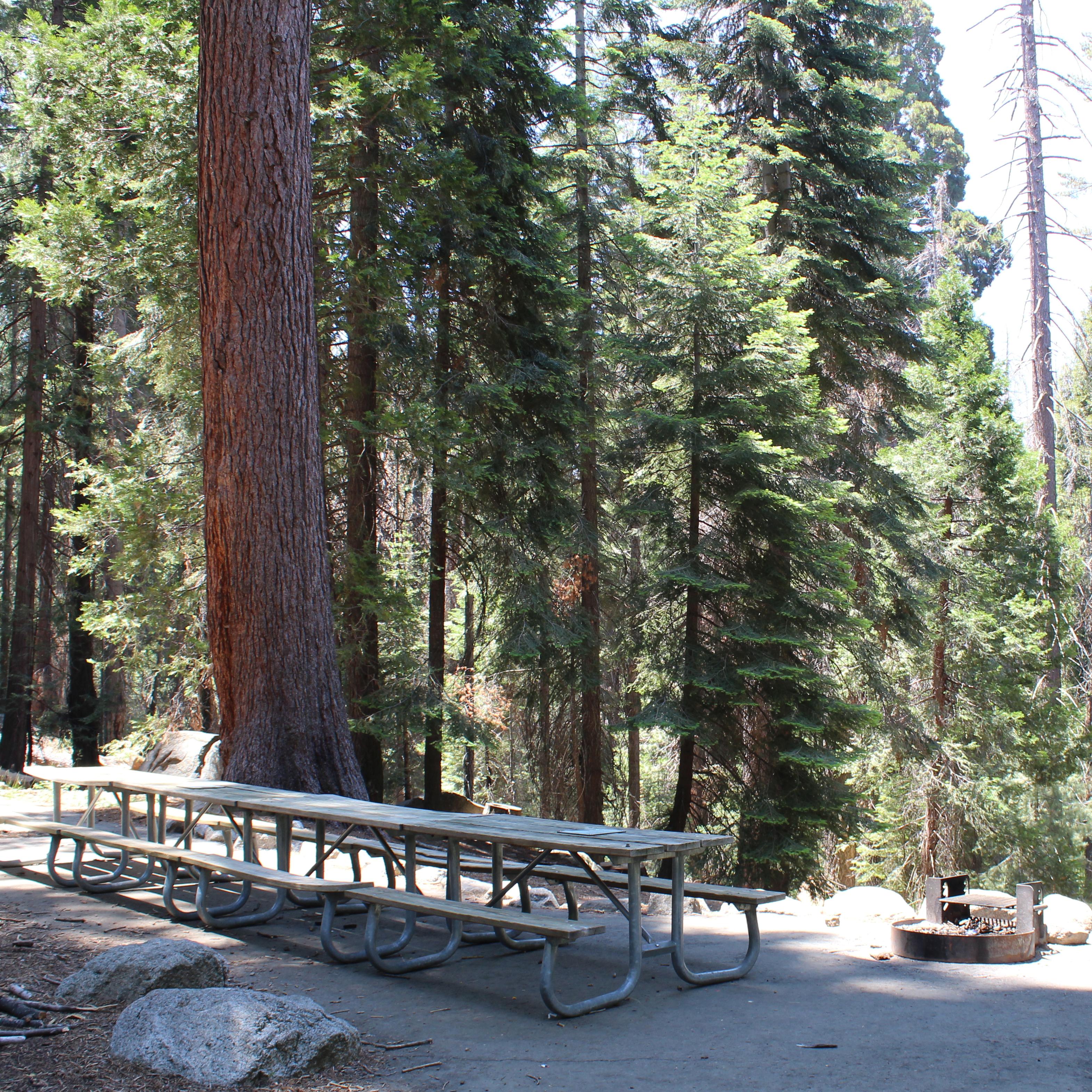 A long picnic table sits under trees next to a campfire ring with grill