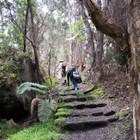 Halema‘uma‘u Trail