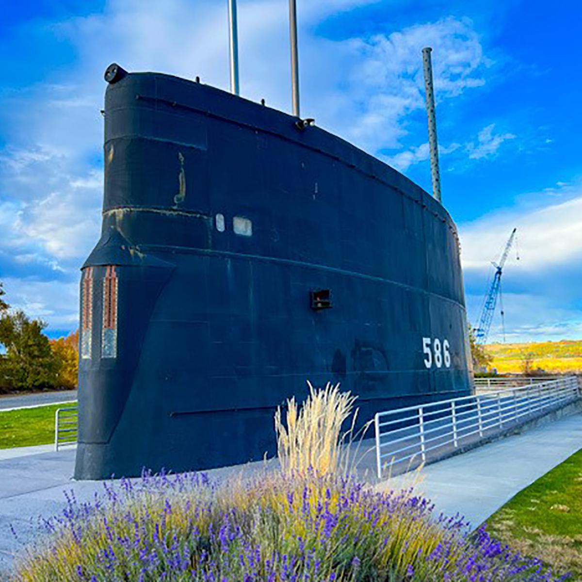Color photograph of purple flowers in front of the top of a submarine that sits on the sidewalk.   