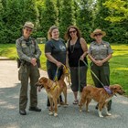 Two rangers pose with two visitors with dogs on leashes.