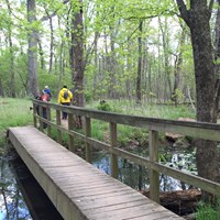 a 20-foot wooden bridge with a handrail over a small creek