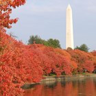 The Washington Monument in autumn. 