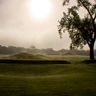 Grass-covered mounds on a foggy morning.