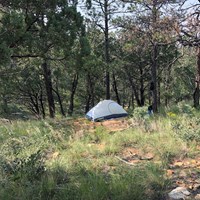 Tent on a dirt pad in a lightly forested environment