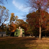 A collection of trees in the fall with a mix of red colors surround a green two-story frame house.