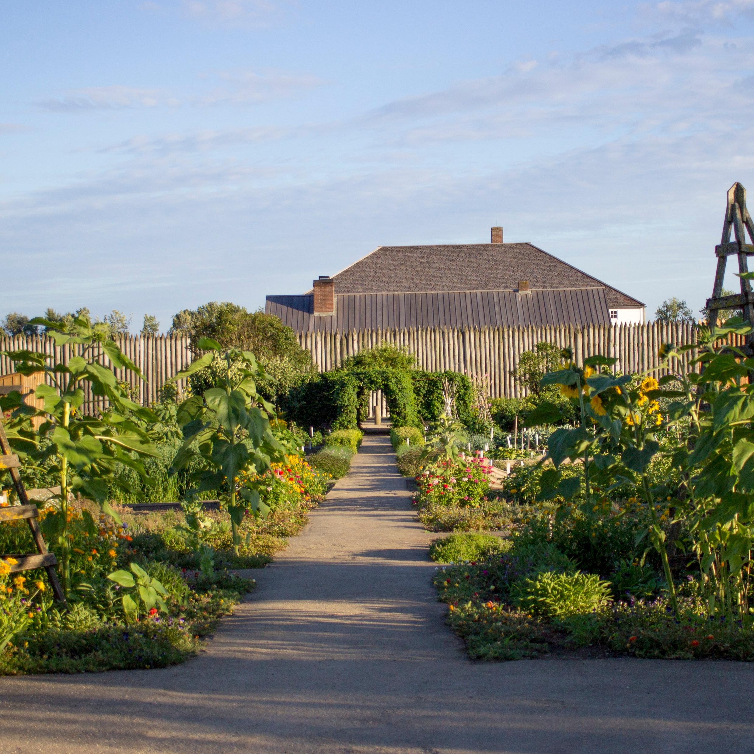 Many plants growing in a garden in front of Fort Vancouver.