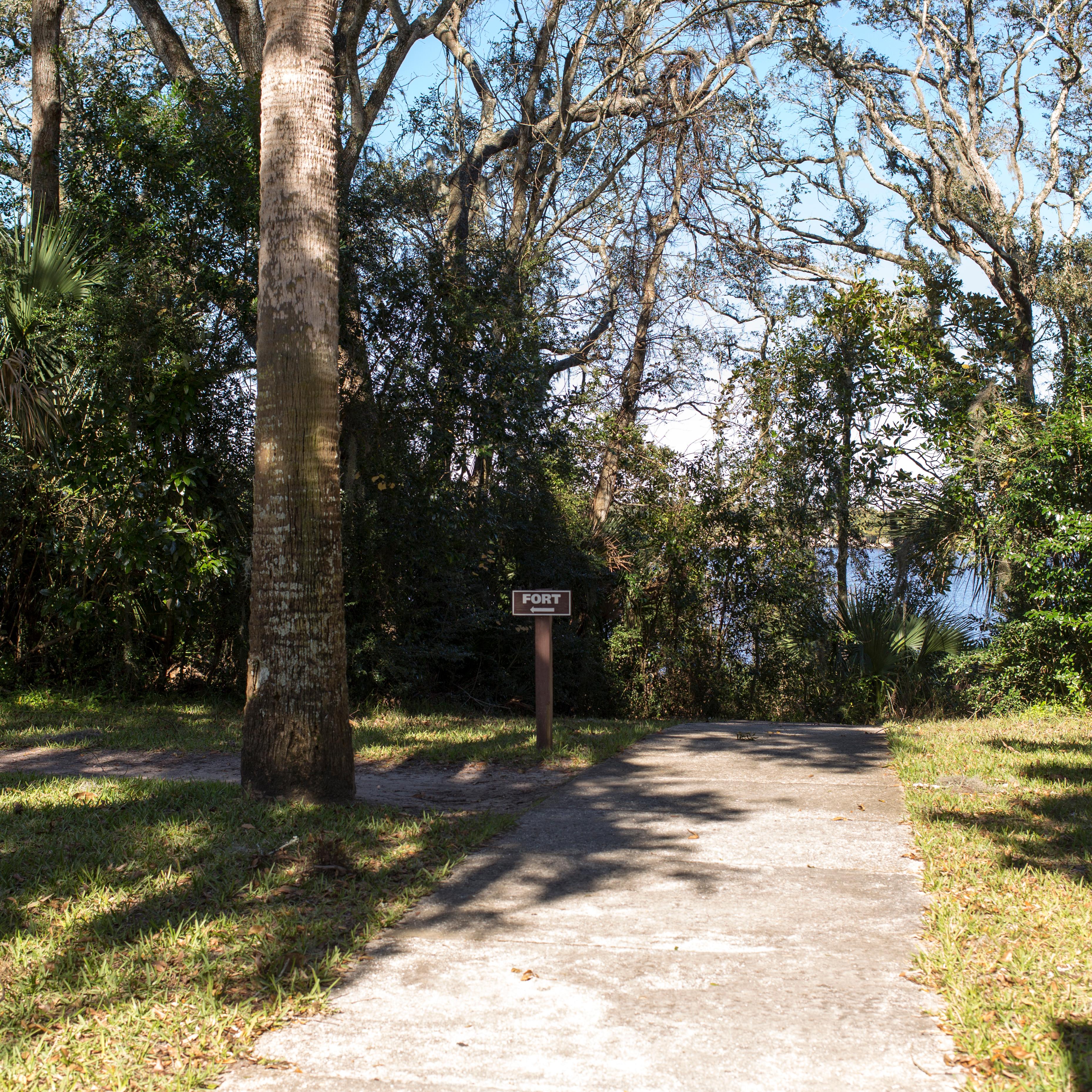 a trail leads to woods