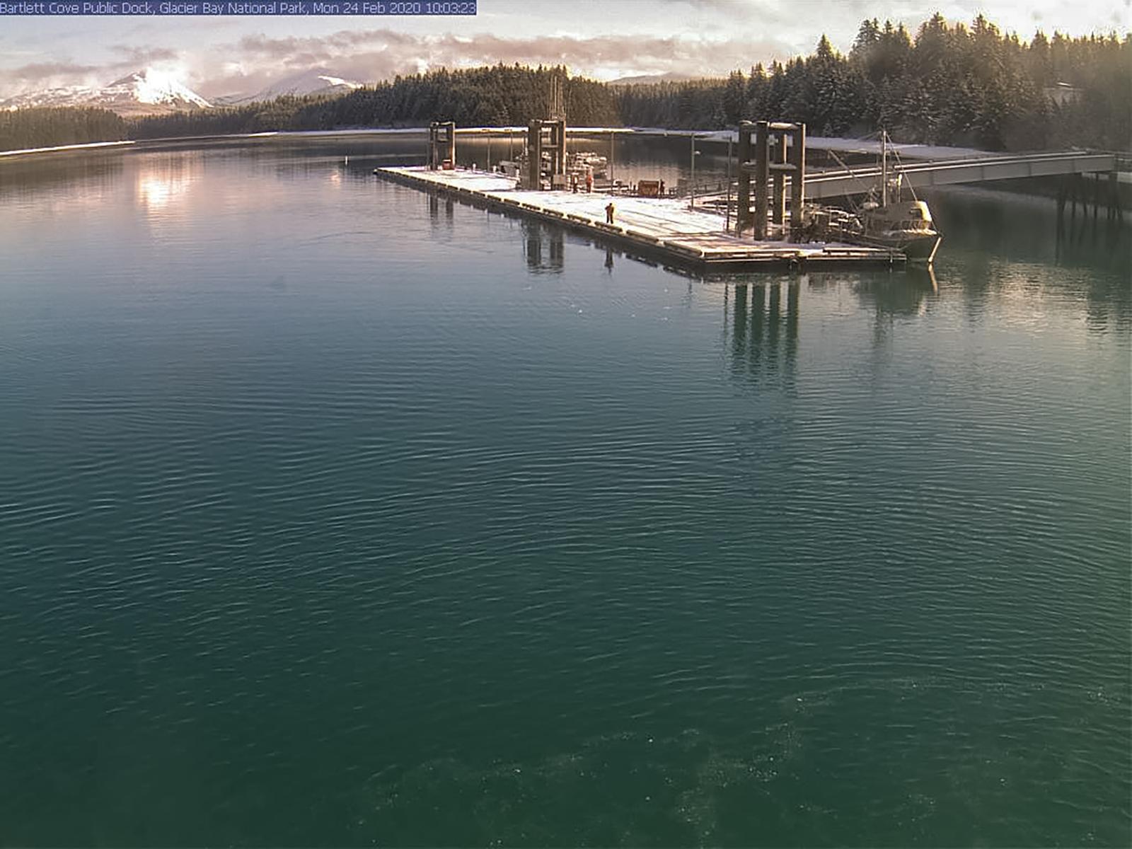 Bartlett Cove Public Dock preview image